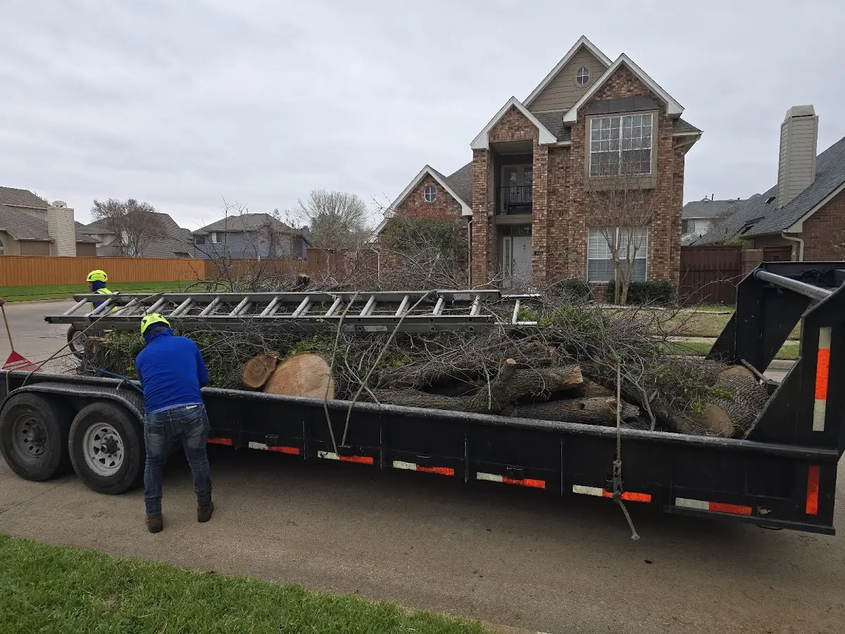Expert Tree Fertilization with proper safety equipment in Carpio